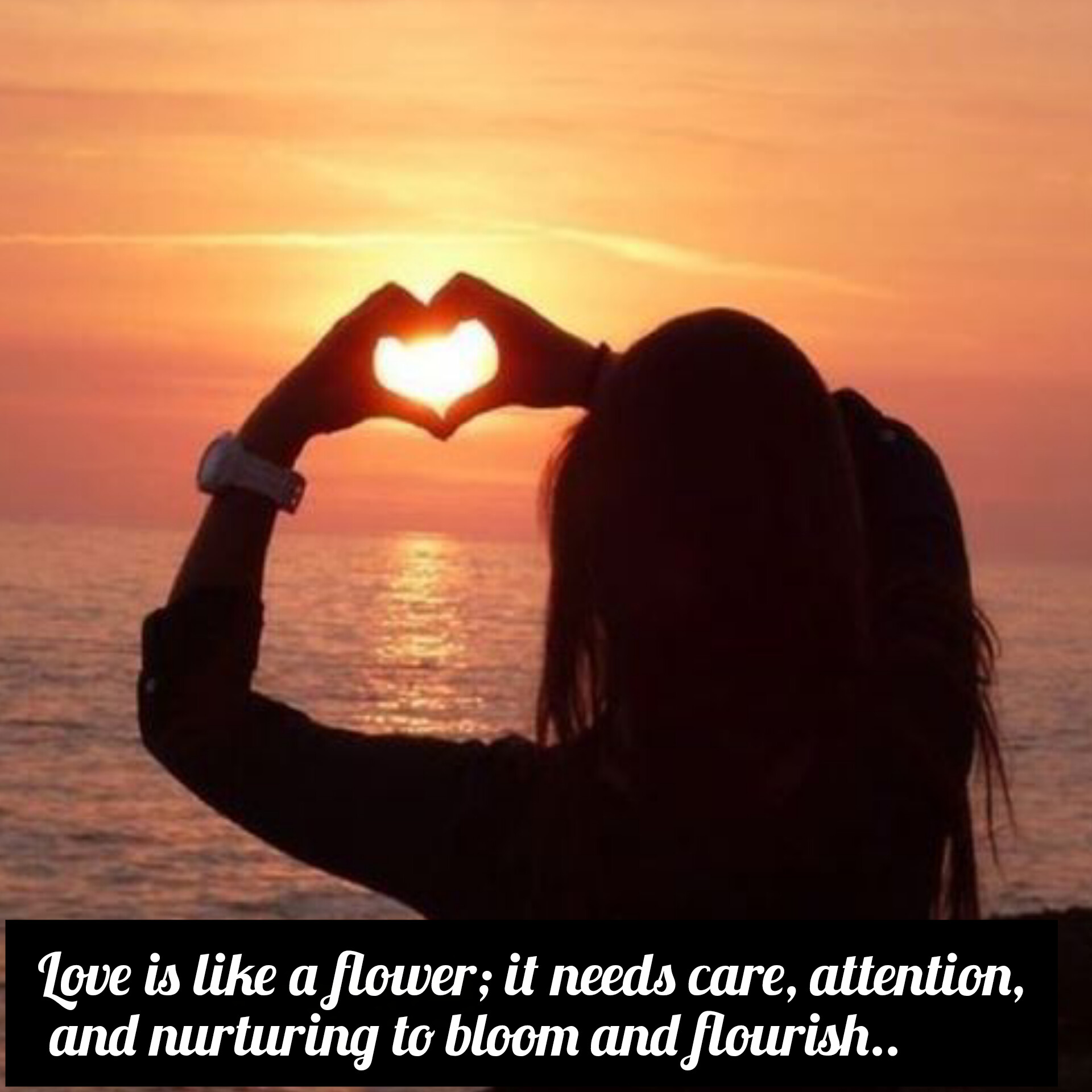 I Love Status in English | Best My i Love Status Quotes for WhatsApp, Love Quotes, I Love Status, You Quotes Famous Love Quotes for All Short and Cute Love Quotes Perfect for Engraved or Personalized Gifts Love English Status, Beautiful Things To Say To Make A Girl Smile And Get Her Thinking, True Love Quotes Romantic Cute Funny Love Quotes Heartfelt Love Messages to Express Your Affection Love Status, WhatsApp - 2025
