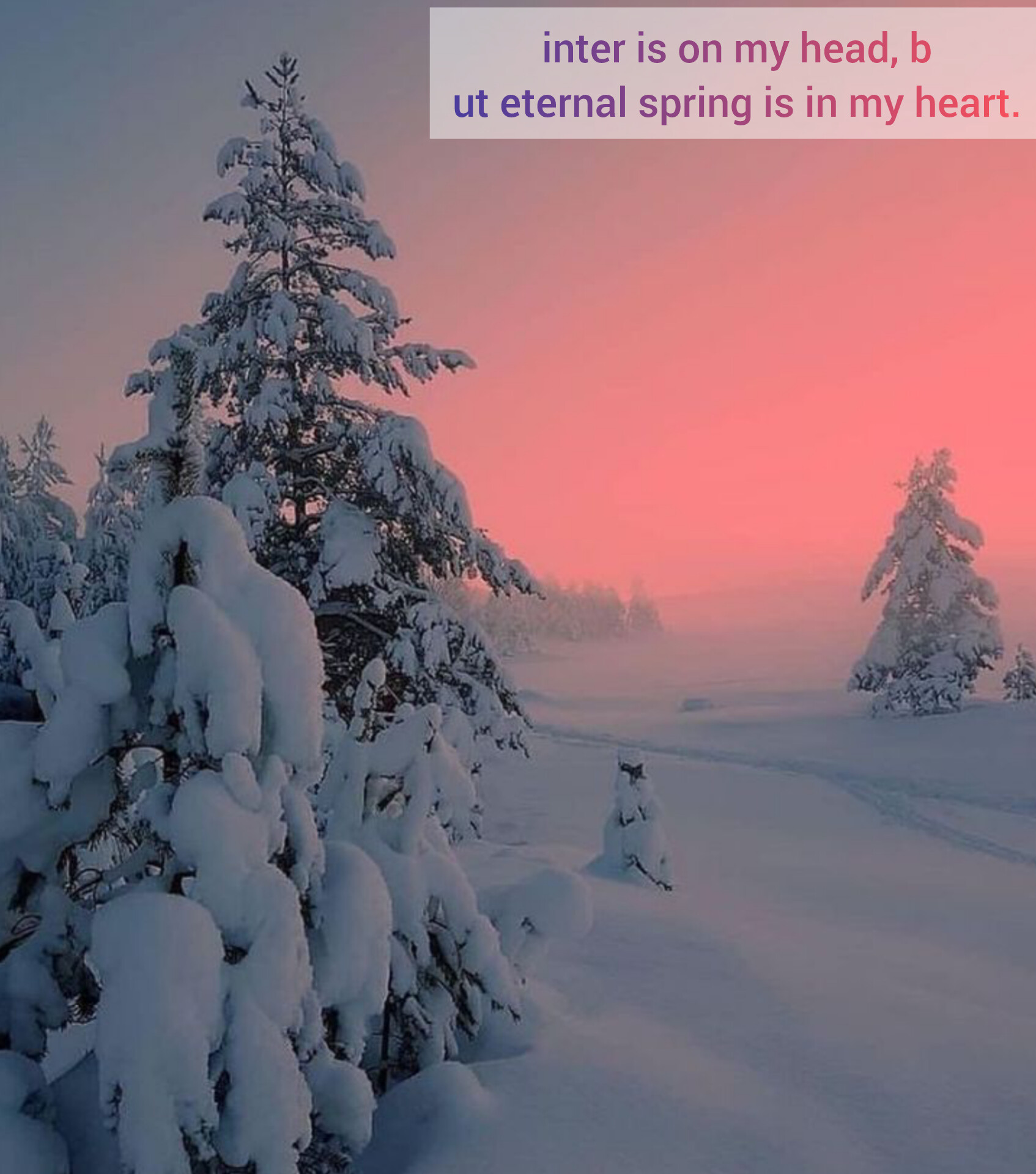 Winters Status | Best Winter Status, Instagram Quotes Perfect for Any Snow Day, Winter Captions for Instagram, Winter Instagram Quotes to Pair With Your Snowy Snaps, Winter Quotes Status for Snowy Vacays and Holy Moly It's Cold Days, Winter Quotes, Winter Captions Quotes Perfect for Any Snow Day, Reasons Why We Love Winter, Care Tips to Enjoy Winters To The Fullest About in English