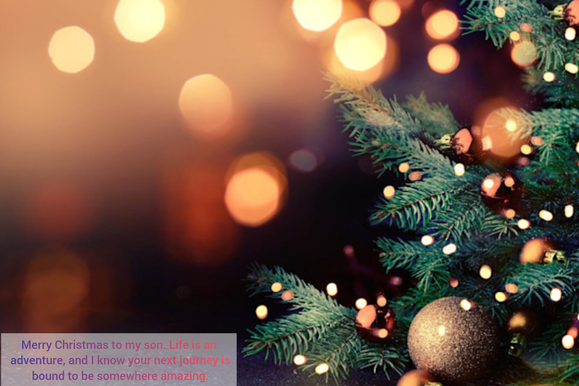 Christmas Status in English | Best New Merry Christmas Status ideas, Christmas Quotes to Help You Celebrate the Season, Merry Christmas Wishes, Messages, Greetings, Whatsapp Status, Clever Christmas Captions for Photos, Merry Christmas Wishes, Images, Quotes Christmas Wishes, Messages, Greetings, Whatsapp, Christmas Wishes for Holiday Cards and Captions