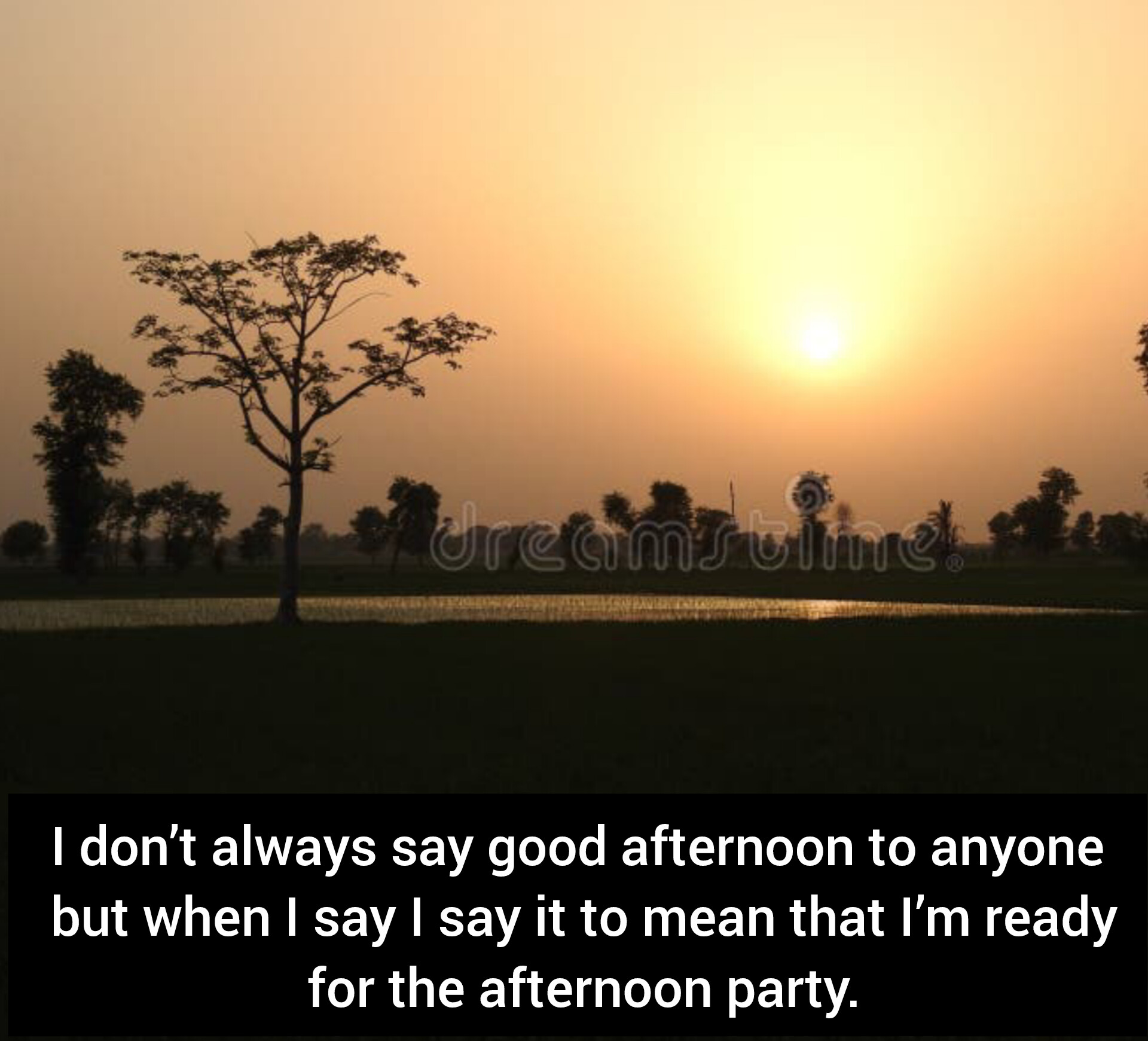 Good Afternoon Status in English | Best good Afternoon Status, Good Afternoon Quotes Afternoon Greetings To Brighten Someone's Day