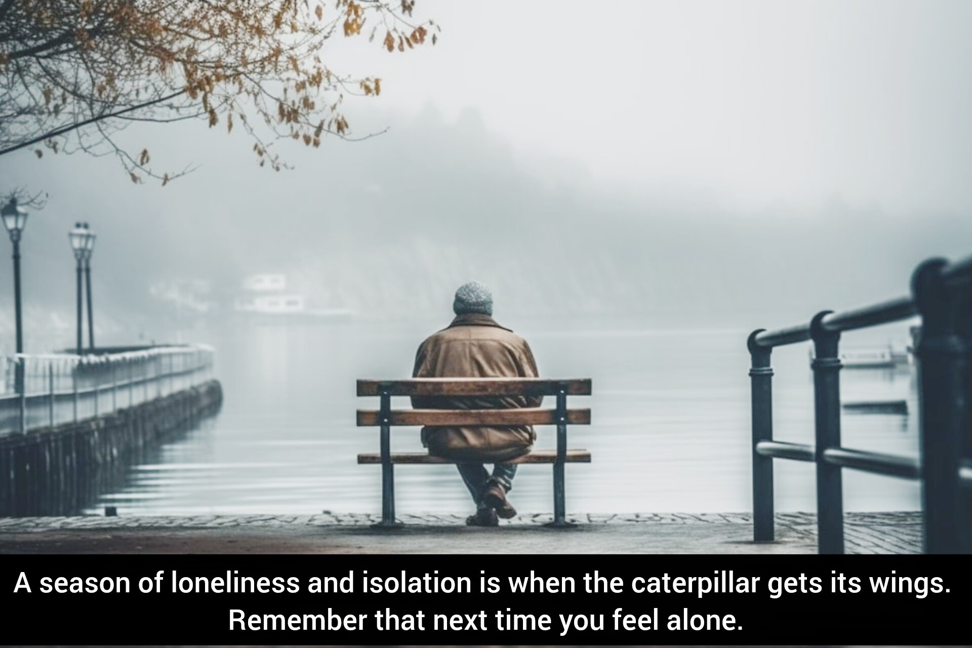 Best Quotes Isolation Status in English | Best Isolation Status for Instagram Status, isolation Status, Loneliness Quotes To Help You Feel Less Alone Loneliness Quotes That Will Give You All The Feels