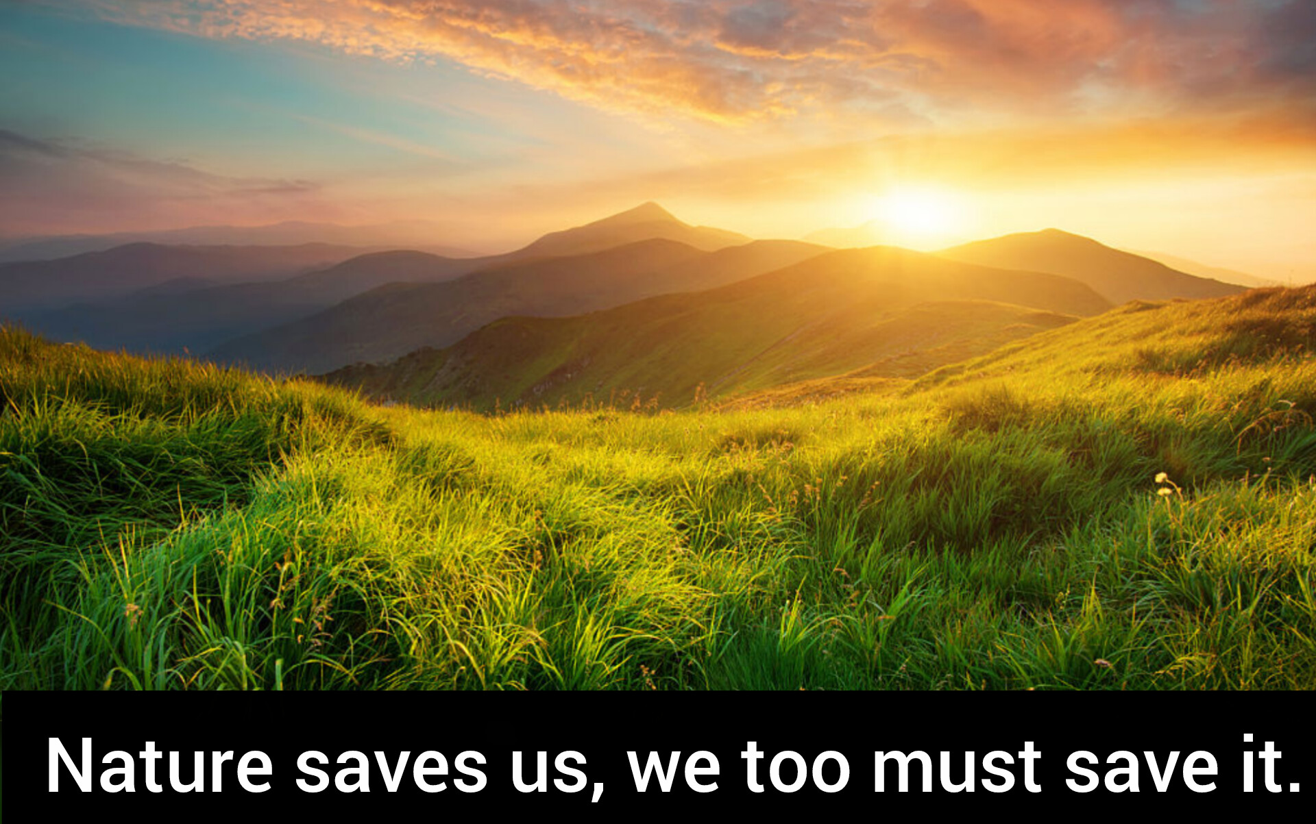 New Nature Status in English | Best Nature Status for FaceBook Status, Happy Nature Status Quotes, To Appreciate the Beauty of the Outdoors Nature Quotes of Wonder Beauty and Power Inspiring Quotes About Nature, Nature Quotes for all Lovers of Natural Beauty, Nature Captions for Instagram Captions, Ways To Tap Into the Power of Nature The Power of Nature The Nature Conservancy