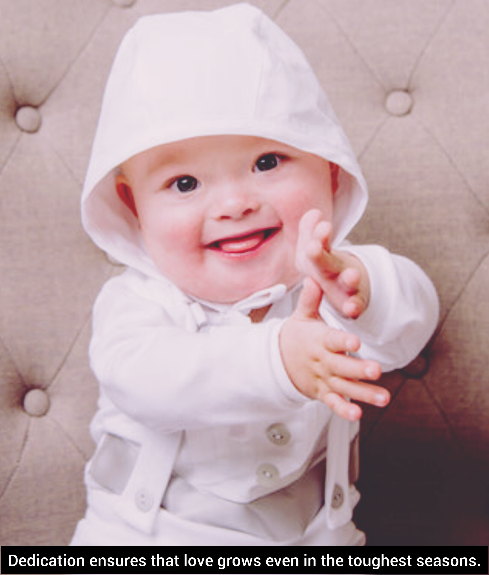 Quotes Dedication Status in English | Best New, Dedication Status, Dedication Hard Work Quotes To Motivate You, Dedication Quotes Status Shayari Poetry Thoughts Top Dedication Quotes, Inspiring Dedication Quotes for Motivation and Success